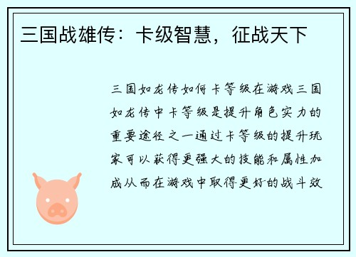 三国战雄传：卡级智慧，征战天下